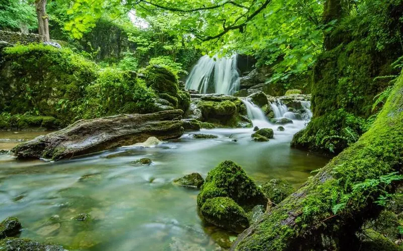 高性能自动化可靠性
